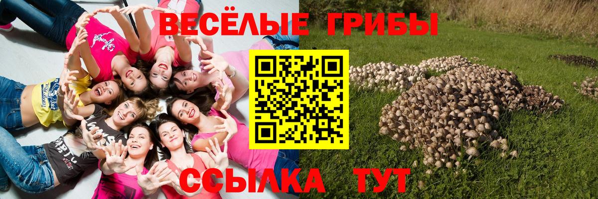 Галлюциногенные грибы прущие грибы Батайск
